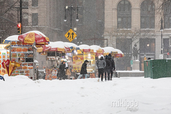 mikiodo260125_3591_LR