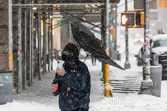 mikiodo260125_3563_LR