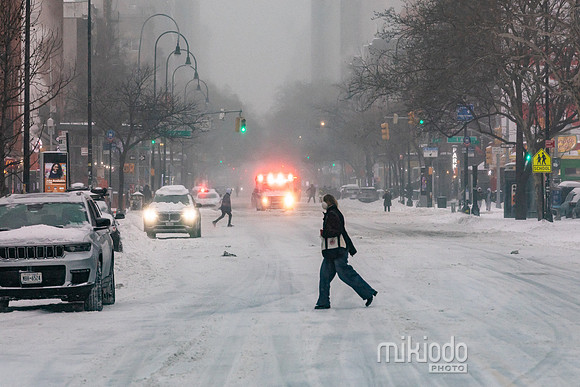 mikiodo260125_3875_LR