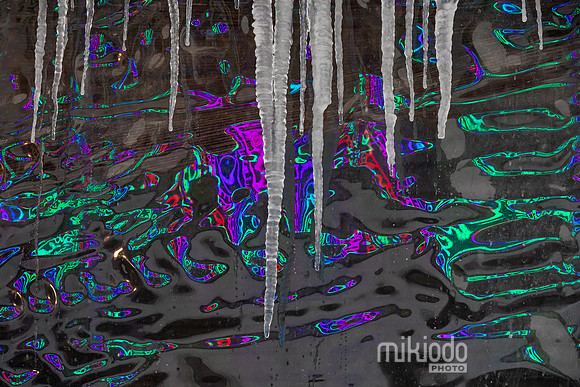 mikiodo260125_3886_LR