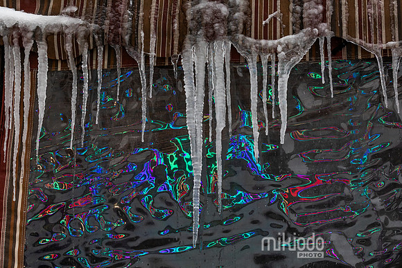 mikiodo260125_3888_LR