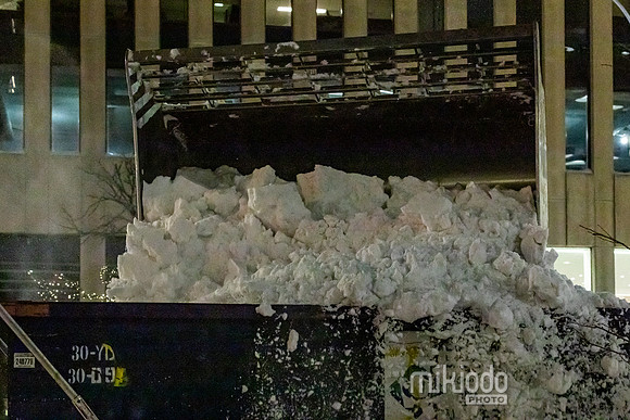 mikiodo260125_3956_LR
