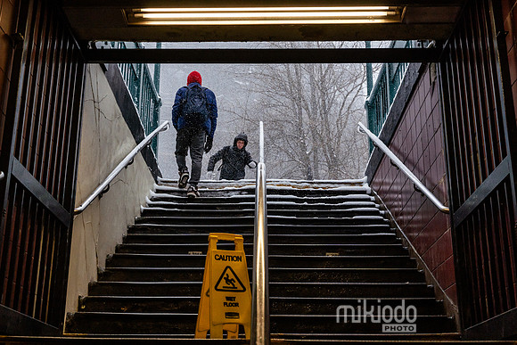 mikiodo260125_8260_LR