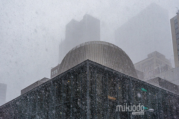 mikiodo260125_8276_LR
