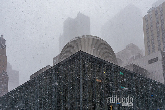 mikiodo260125_8277_LR