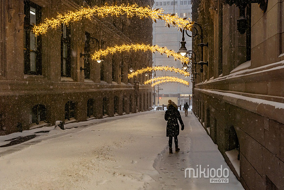 mikiodo260125_8284_LR