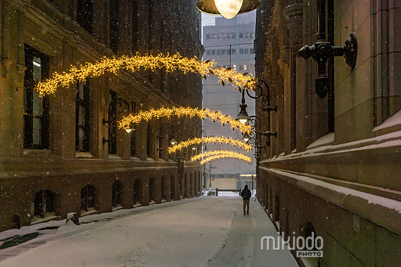 mikiodo260125_8280_LR