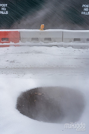 mikiodo260125_8311_LR