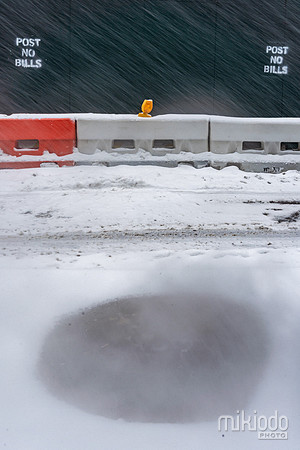 mikiodo260125_8313_LR