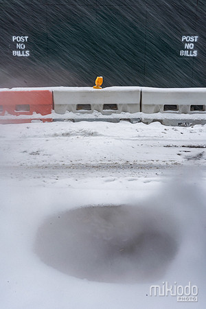 mikiodo260125_8315_LR