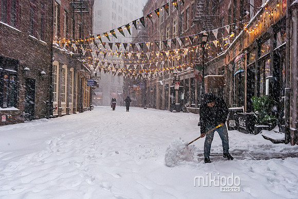 mikiodo260125_8341_LR