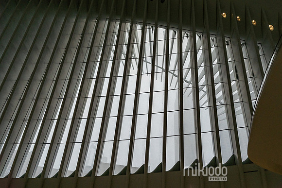 mikiodo260125_8415_LR
