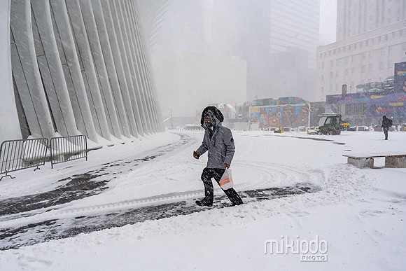 mikiodo260125_8425_LR