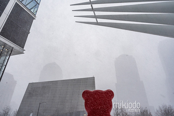 mikiodo260125_8454_LR
