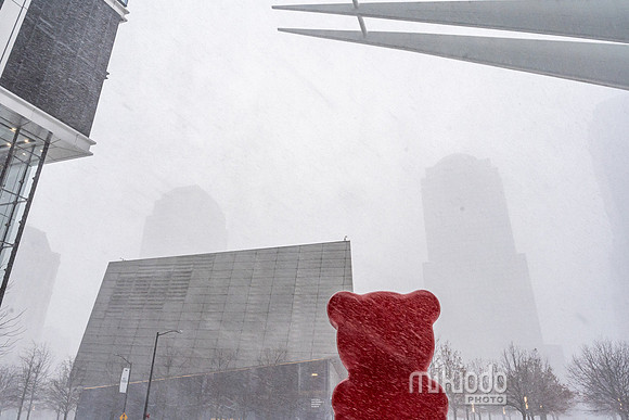 mikiodo260125_8457_LR