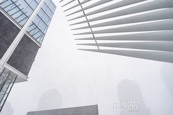 mikiodo260125_8458_LR