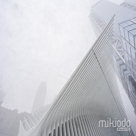 mikiodo260125_8473-Pano_LR