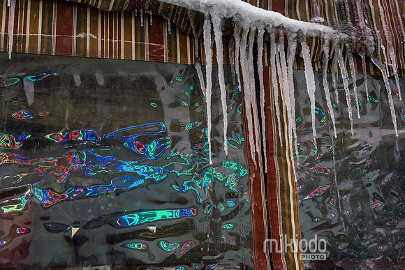 mikiodo260125_8653_LR