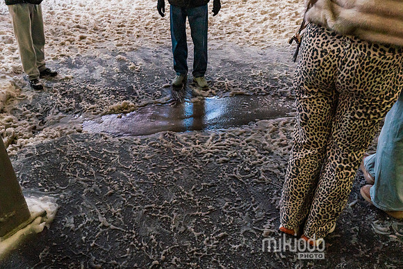 mikiodo260125_8683_LR