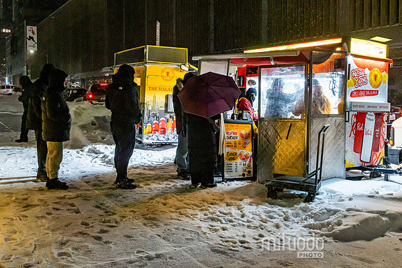 mikiodo260125_8714_LR