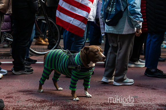 mikiodo260111_1938_LR