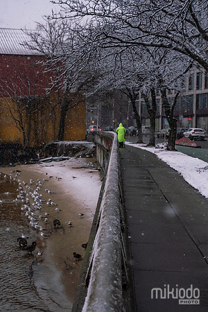 mikiodo260222_2218_LR