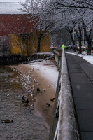mikiodo260222_2223_LR