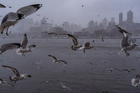 mikiodo260222_2274_LR