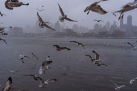 mikiodo260222_2276_LR
