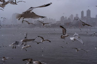 mikiodo260222_2275_LR