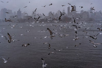 mikiodo260222_2271_LR