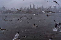 mikiodo260222_2283_LR