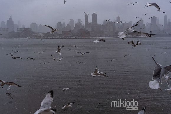 mikiodo260222_2283_LR