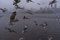 mikiodo260222_2277_LR