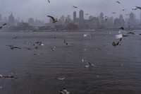mikiodo260222_2284_LR
