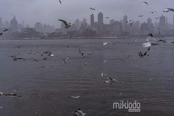mikiodo260222_2284_LR