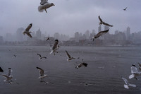 mikiodo260222_2281_LR