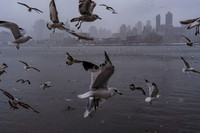 mikiodo260222_2278_LR