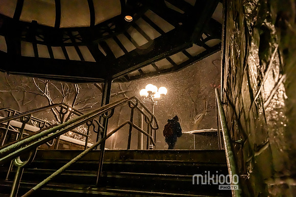 mikiodo260222_2407_LR