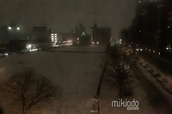 mikiodo260222_2387_LR