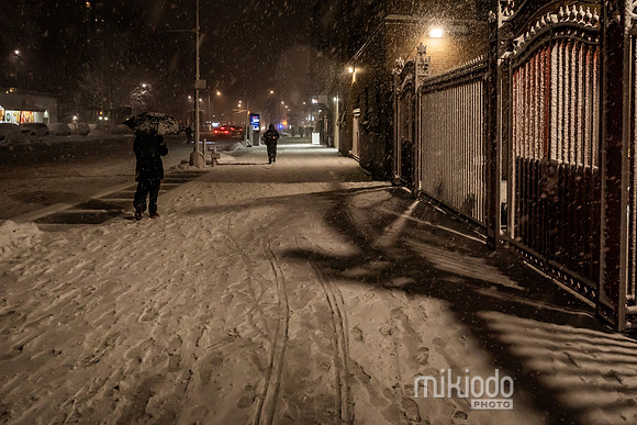 mikiodo260222_2432_LR