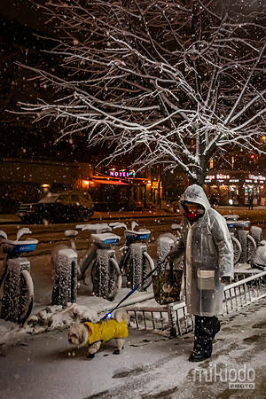 mikiodo260222_2444_LR