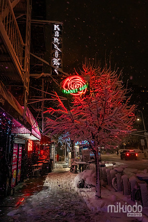 mikiodo260222_2451_LR