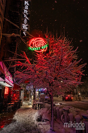 mikiodo260222_2448_LR