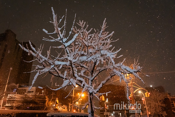 mikiodo260222_2503_LR