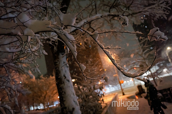 mikiodo260222_2525_LR