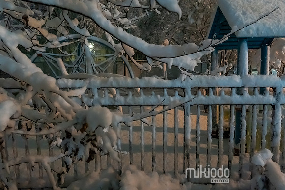 mikiodo260222_2529_LR
