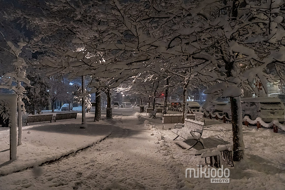 mikiodo260222_2540_LR