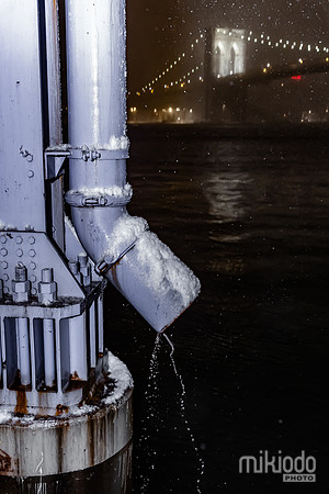 mikiodo260222_2562_LR