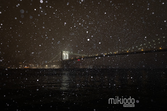 mikiodo260222_2551_LR